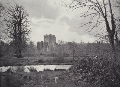 Blarney Slot af English Photographer