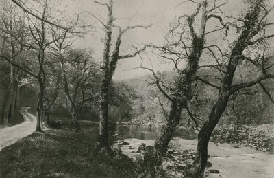 Bolton Woods af English Photographer