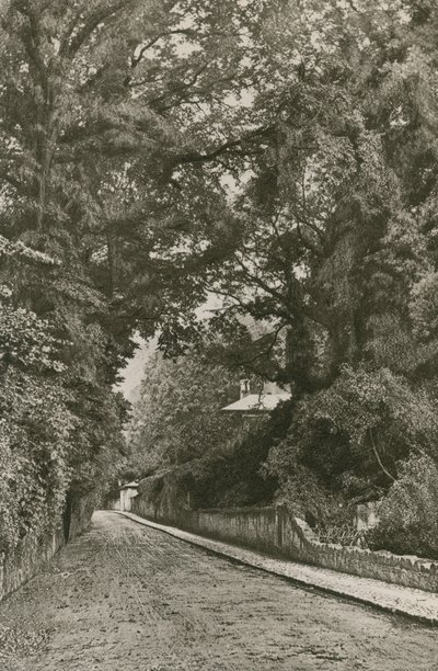 Bonchurch Road, Isle of Wight af English Photographer