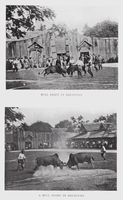 Tyrekamp i Kelantan (s/h foto) af English Photographer