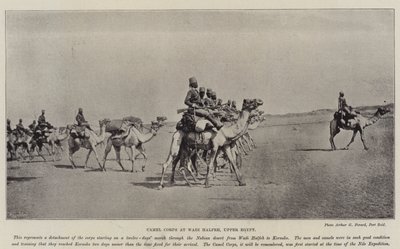 Kamelkorps ved Wadi Halfeh, Øvre Egypten af English Photographer