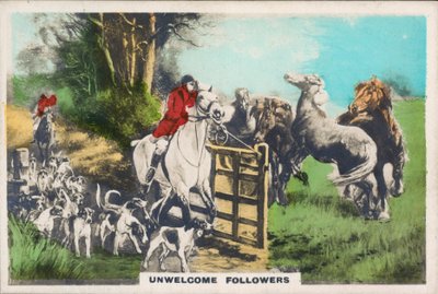 Studier af kameraer af English Photographer