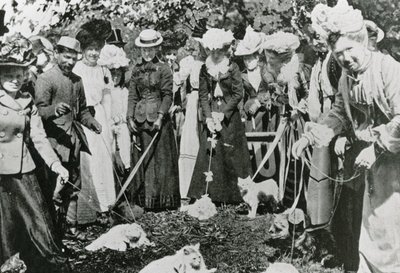Katteudstilling i Royal Botanic Gardens, Westminster, i 1900 af English Photographer