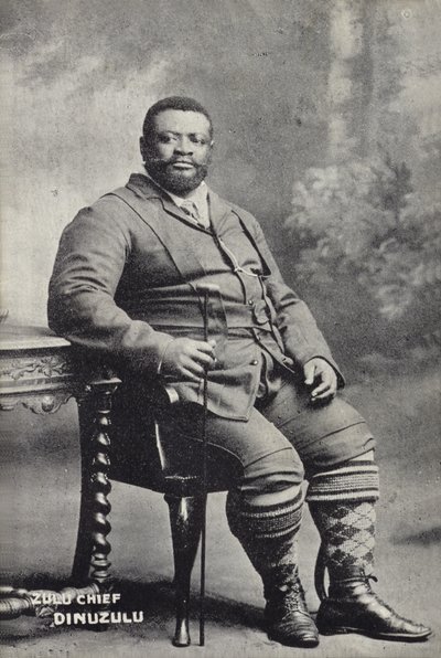 Cetshwayo kaMpande, konge af Zulu-nationen af English Photographer