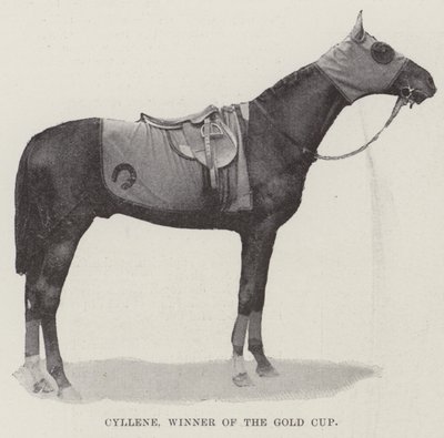 Cyllene, vinder af Gold Cup af English Photographer