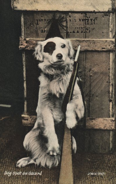 Hund holder en pistol (farvefoto) af English Photographer
