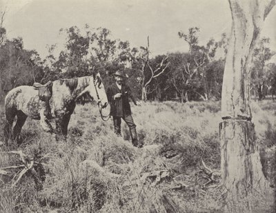 At finde en Emus Nest af English Photographer