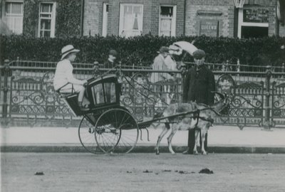 Gedetrukket transport af English Photographer