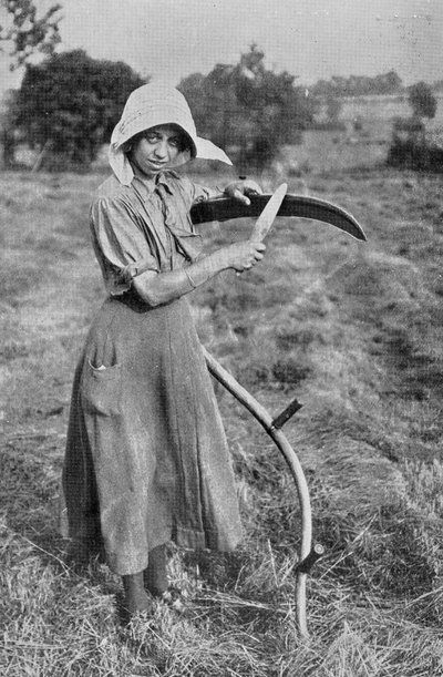Harvesting - Medlem af Leicester Women