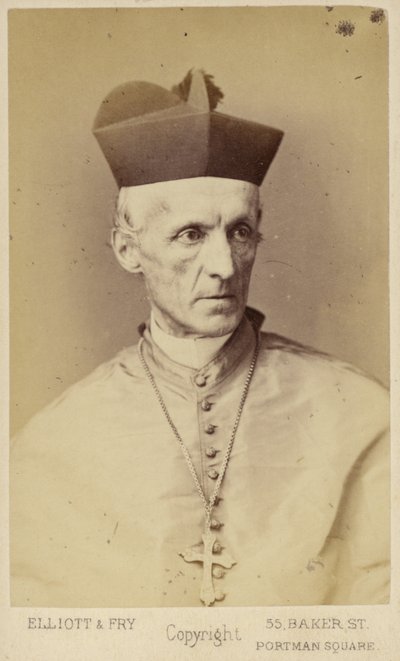 Henry Edward Manning af English Photographer