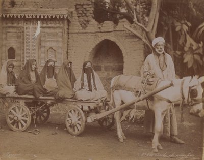 Hestetrukne vogn, Kairo, 1893 af English Photographer