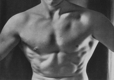 Illustration til The Male Body (s/h foto) af English Photographer