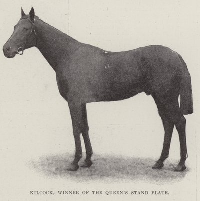 Kilcock, vinder af Queens Stand Plate af English Photographer