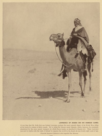 Lawrence af Arabien på denne berømte kamel (s/h-foto) af English Photographer