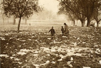 Affaldsstrøet græs på Hampstead Heath dagen efter en helligdag, fra Wonderful London, udgivet 1926-27 (fotogravure) af English Photographer