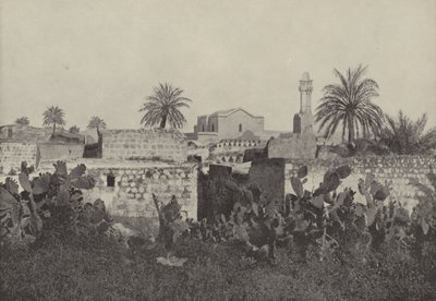 Lydda, den gamle herre i Det Gamle Testamente, hvor apostlen Paulus genoprettede den syge Æneas af English Photographer