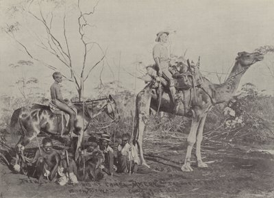 Elendighed af English Photographer