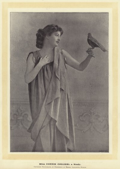 Miss Connie Collier: en undersøgelse af English Photographer