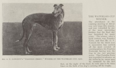 Mr GF Fawcetts Farndon Ferry, vinder af Waterloo Cup, 1902 af English Photographer