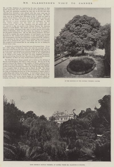 Mr. Gladstones besøg i Cannes af English Photographer