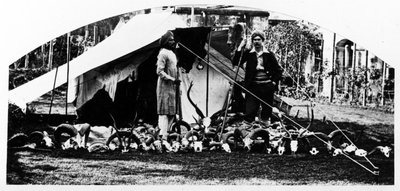 Mine indiske jagttrofæer, ca. 1870
