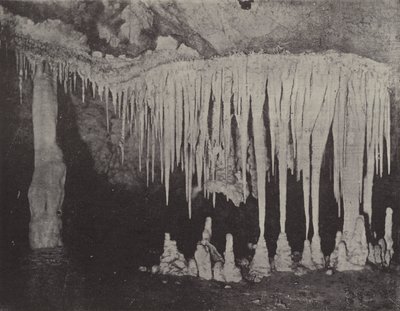 Nellies Grotte, Jenolan Caves af English Photographer