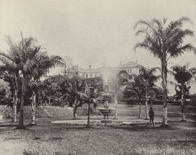 Palmer og springvand, Botanisk Have, Brisbane af English Photographer