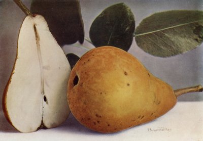 Pære, Durondeau (farvefoto) af English Photographer