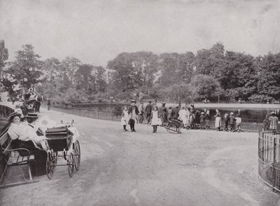 Peckham Park af English Photographer