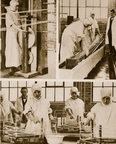 Forberedelse af Cat-Gut på London Hospitals egen fabrik (sepia foto) af English Photographer