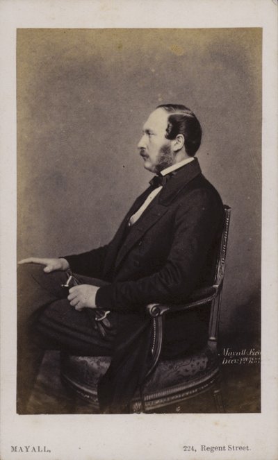 Prins Albert (sepiafoto) af English Photographer