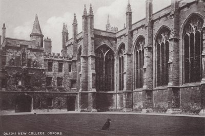 Quadrangle New College, Oxford af English Photographer