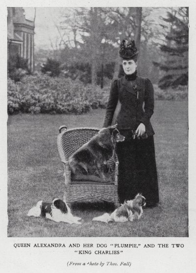 Dronning Alexandra med sin hund, Plumpie, og sine to King Charles spaniels (s/h foto) af English Photographer