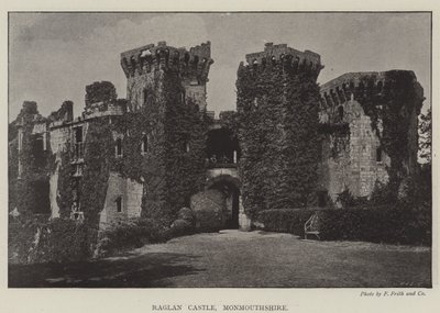 Raglan Castle, Monmouthshire af English Photographer
