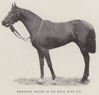 Refractor, vinder af Royal Hunt Cup af English Photographer