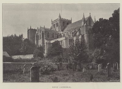 Ripon katedral af English Photographer