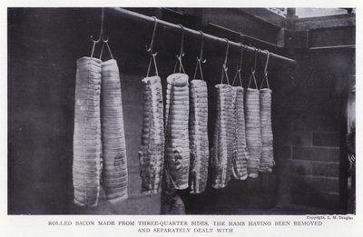 Rullet bacon lavet af trekvart sider, skinkerne er blevet fjernet og behandlet separat (s/h foto) af English Photographer