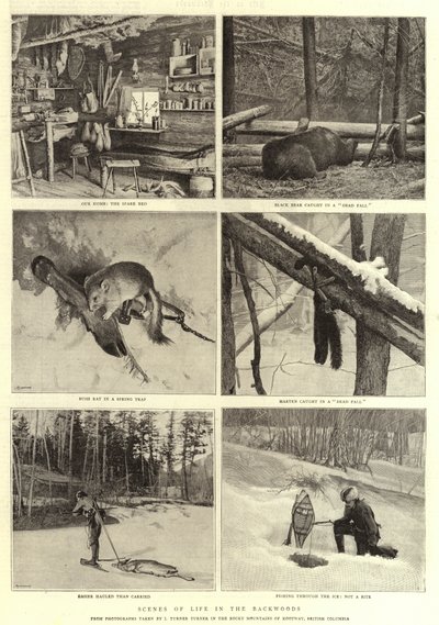 Livets scener i Backwoods af English Photographer