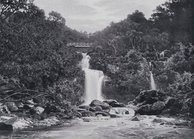 Skotland: Inversnaid Falls, Loch Lomond (s/h foto) af English Photographer