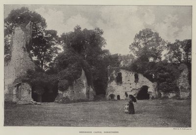 Sherborne Castle, Dorsetshire af English Photographer