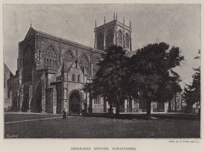 Sherborne Minster, Dorsetshire af English Photographer