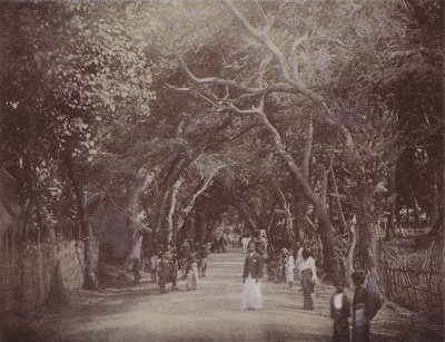 Skinners Road, Colombo (farvet foto) af English Photographer