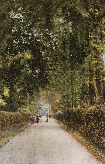 Spencer Road, Ryde af English Photographer
