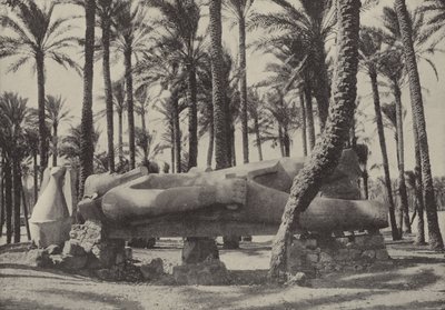 Statue af Ramses II, liggende i byen, som Jeremias sagde, skulle være uden indbygger af English Photographer