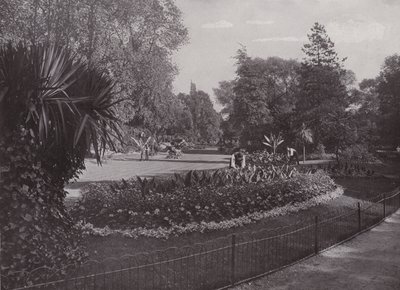 Sub-tropiske haver, Battersea Park af English Photographer