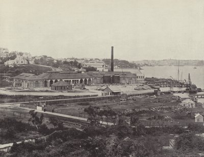 Sunlight Soap Companys Works, nær Sydney af English Photographer