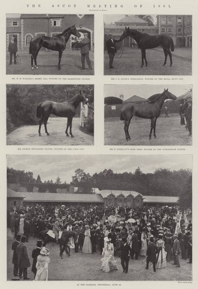 Ascotmødet 1901 af English Photographer