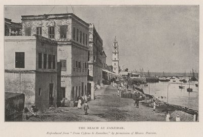 Stranden på Zanzibar af English Photographer