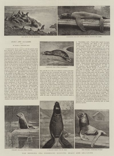 Beringshavets fiskeristrid, sæler og søløver af English Photographer