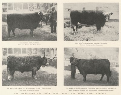 Birmingham Fat Stock Show, Royal og andre prisvindere af English Photographer